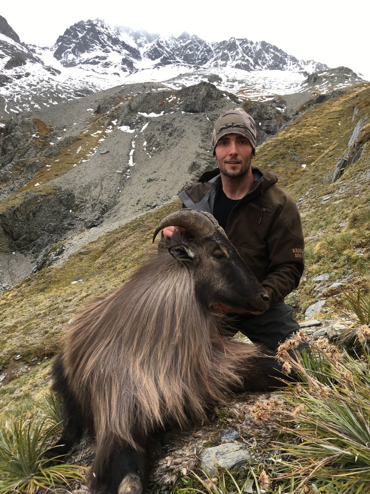 Tahr5.jpg.b00097c429f106ba75b1cd32bcaa7b3f.jpg