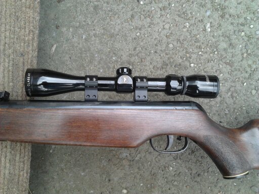 Gamo magnum .22 Tasco world class scope