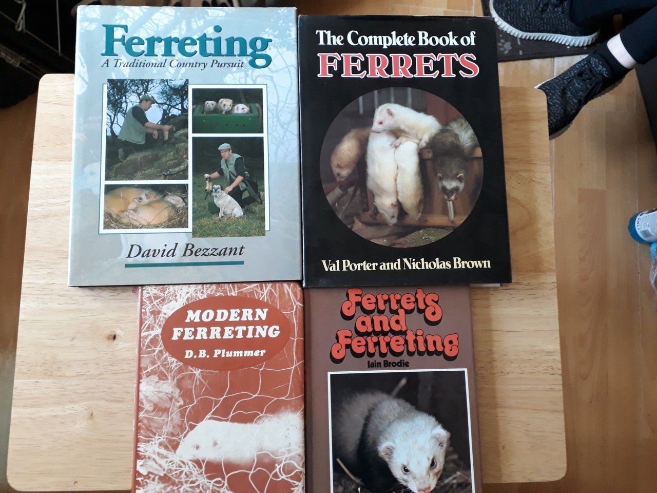 ferret/ferreting books