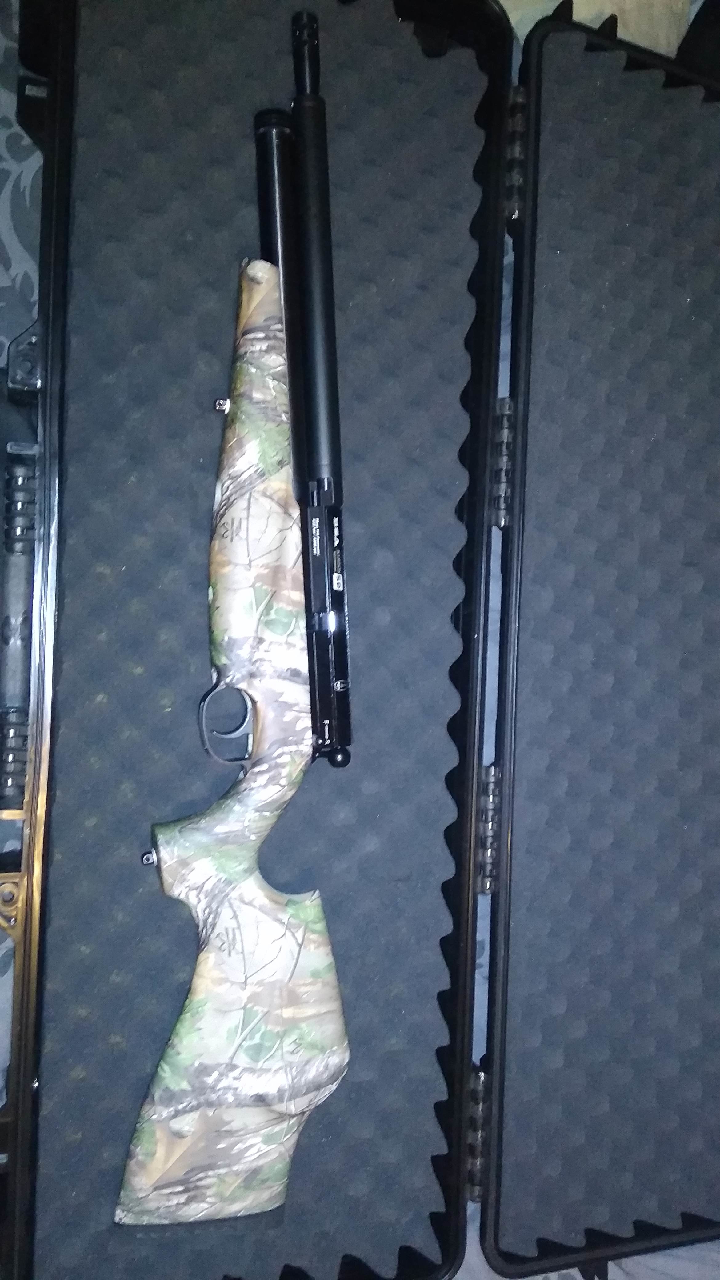 BSA scorpion SE .22 realtree