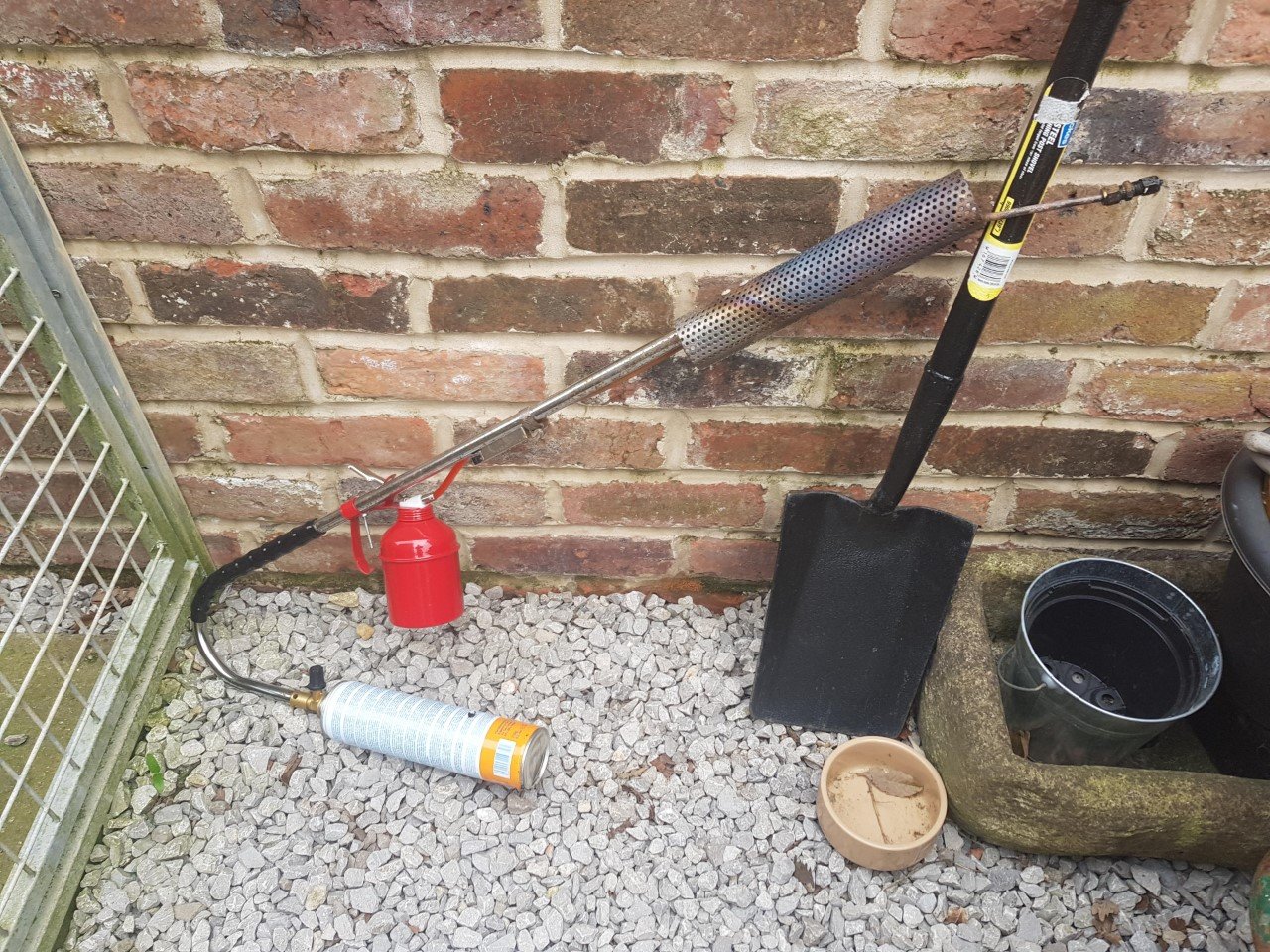 Rat smoker ....ratattack