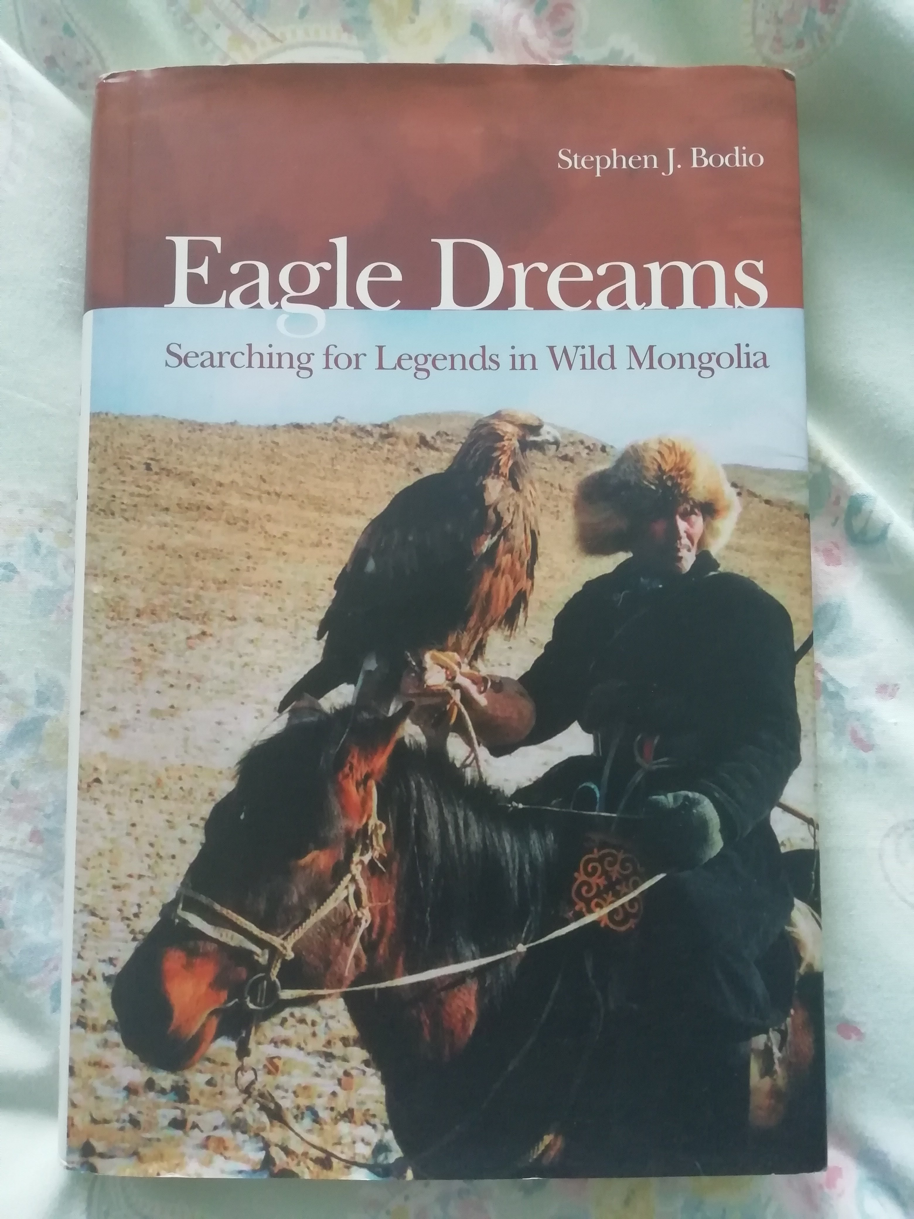 Eagle dreams book by Stephen bodio