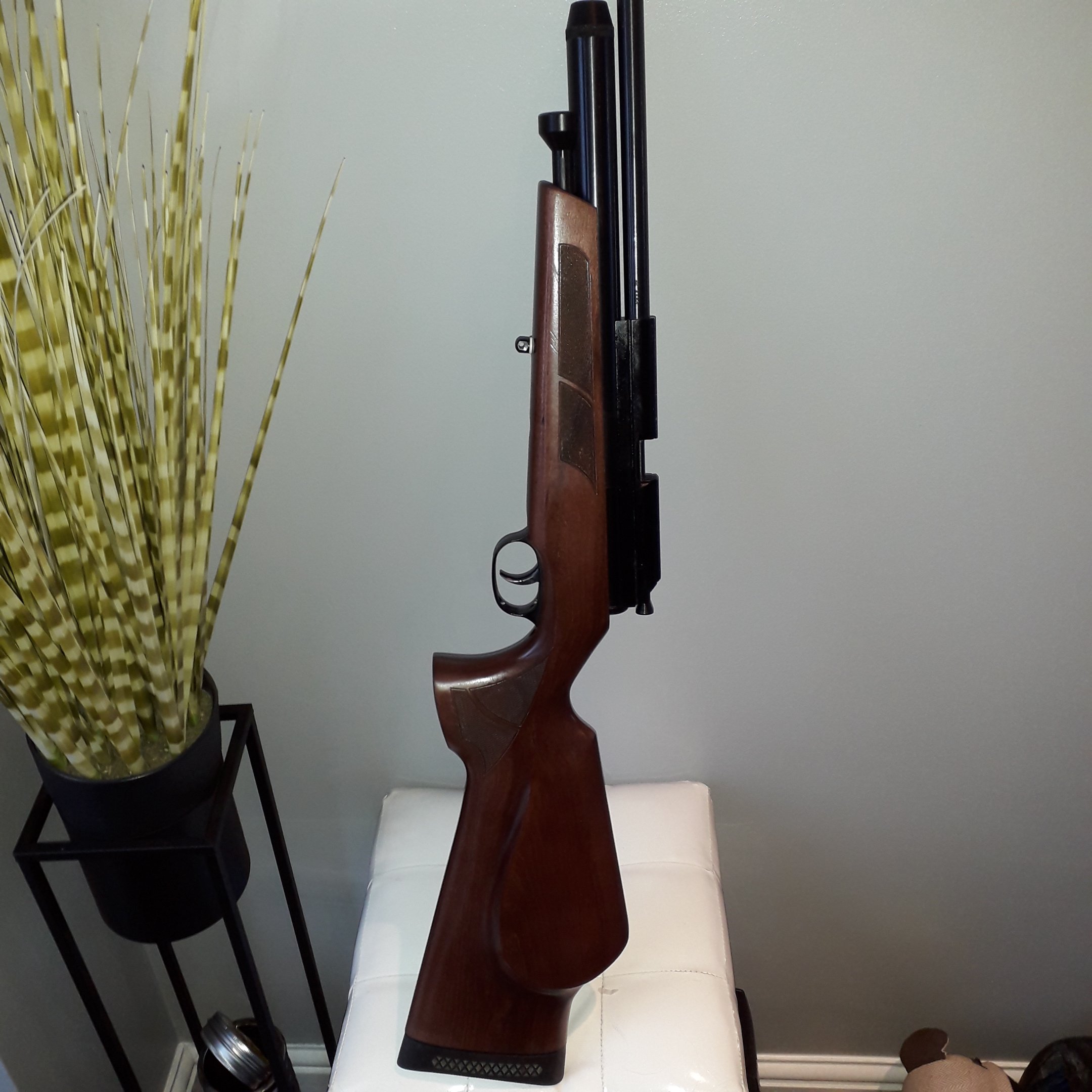 Bsa ultra .22