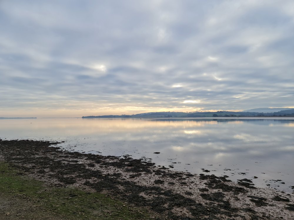 20210110_141323.jpg.cc69d1a3e4f8a0766a9f9f1a9918cc49.jpg