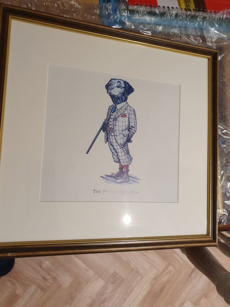 "Perfect Gundog " framed print