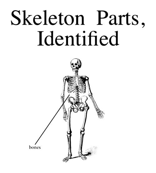 Bones.jpg.f618f61b45c6ef81ec0b52fbd06e54e3.jpg