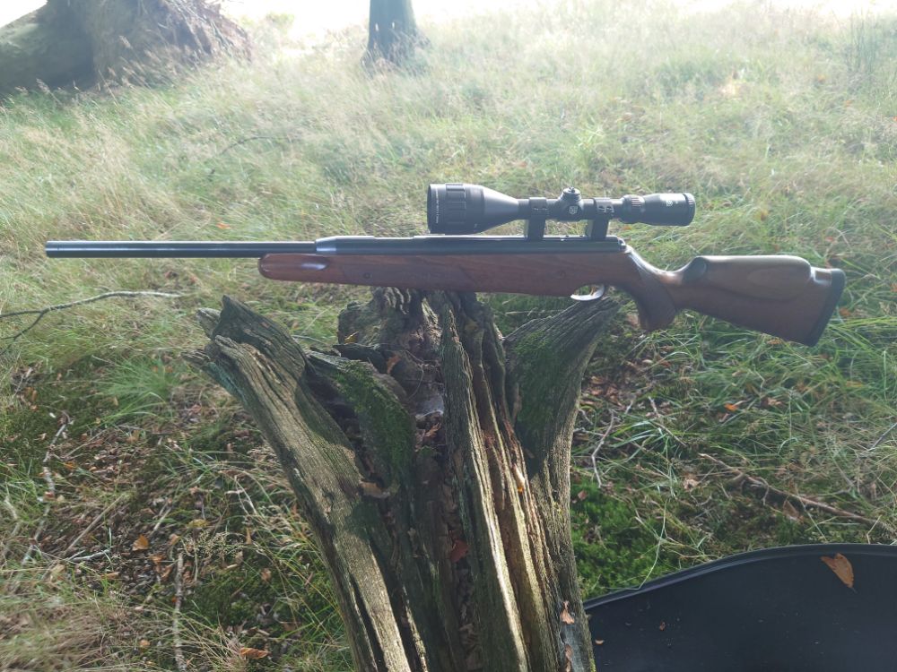 Air arms prosport 177.