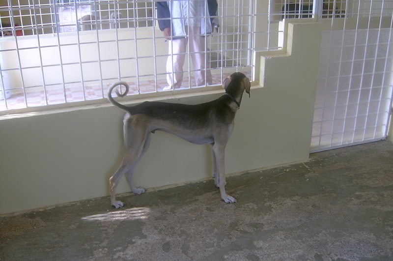 image.jpeg.1472a9faeaef6de8050ac922cc440878.jpeg