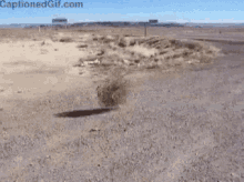 dessert-desert.gif.5612f5b720402a728f9b11e8fe374d4b.gif