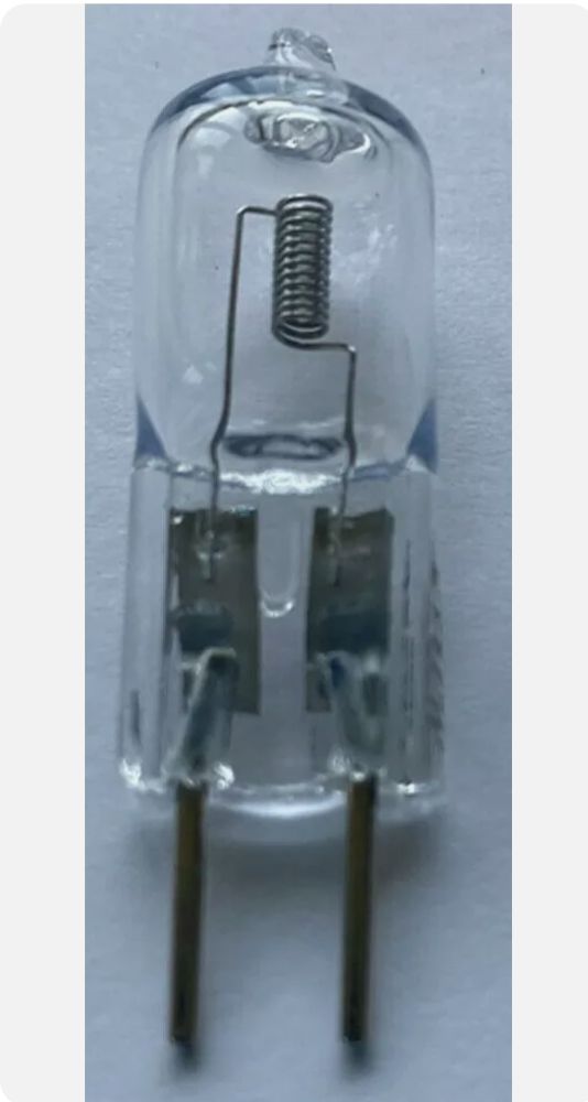 100watt vertical filament bulbs