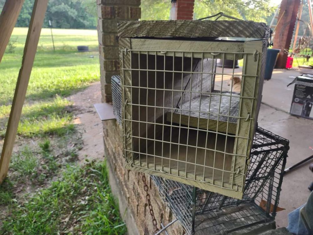 Traditional wooden rabbit traps - Snaring, Trapping & Pest Control - The  Hunting Life