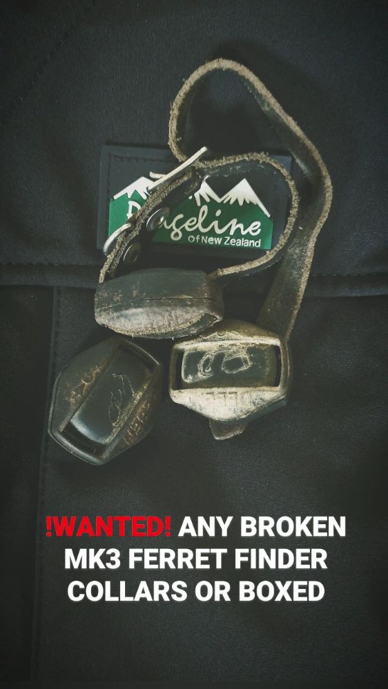 WANTED - Broken Mk3 Collars