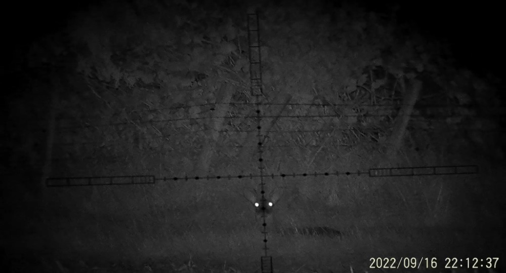 9619A193-35D2-4BA0-9327-5A5BD70C1636.jpeg.ab6f322c6d26b3cbb1e6388d5754d018.jpeg