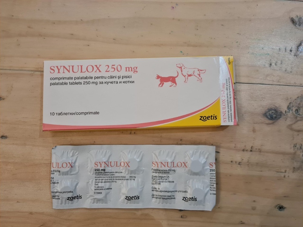 SYNULOX/PENICILLIN BOX OF 10 250mg