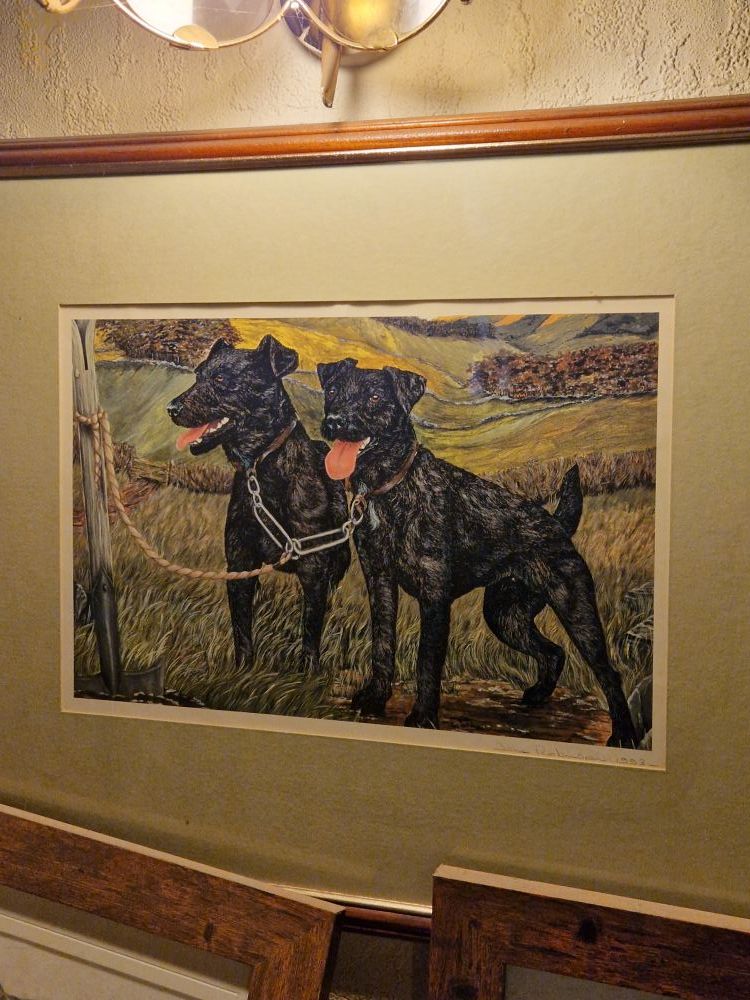 20230428_170240.jpg.3daf6ea8fbaec38c009cd7b313a8b3cf.jpg