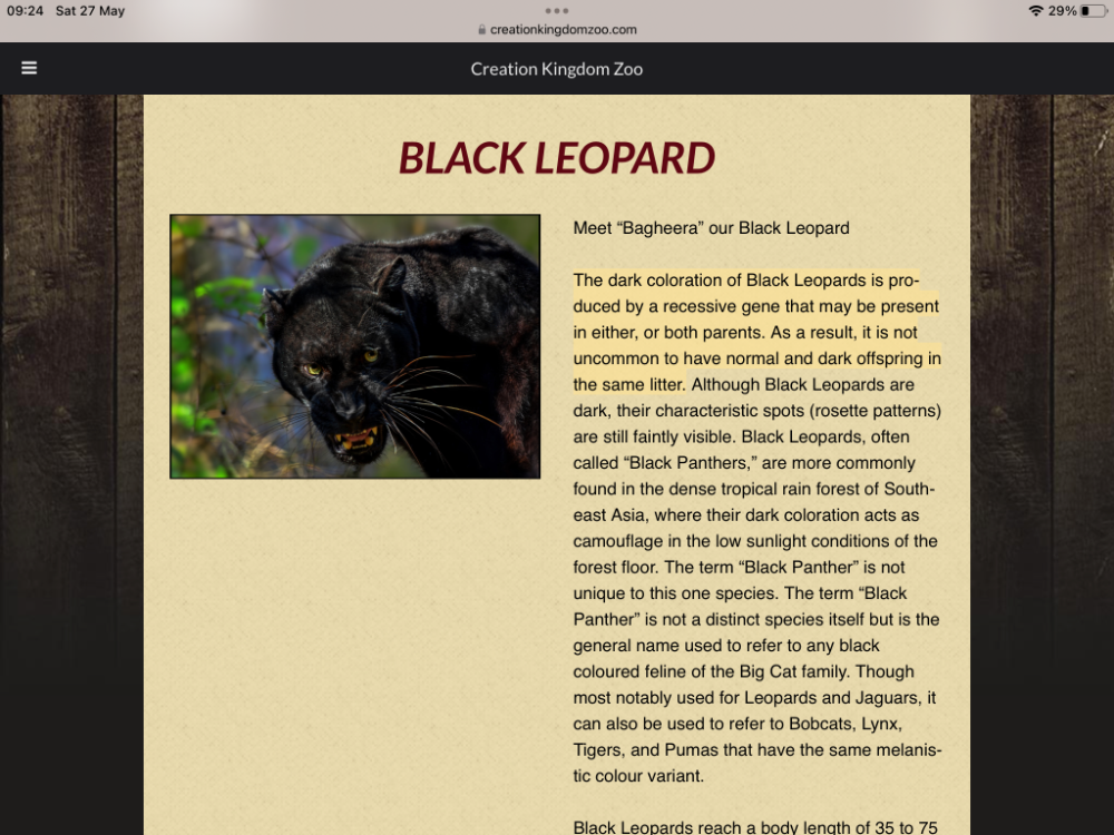 IMG_3775.png.4806afe2e0e3eb9129e7b38b753bd383.png