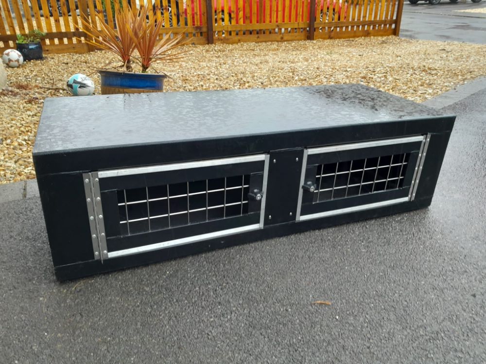 Double terrier box for pickup