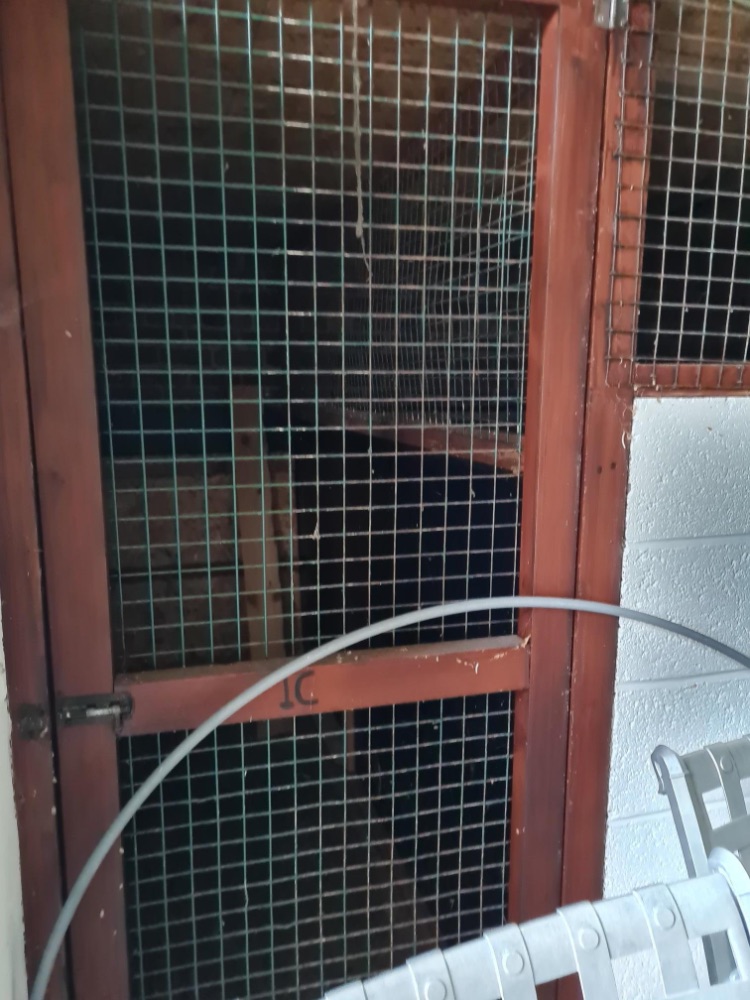 FREE....kennel fronts/mesh doors.