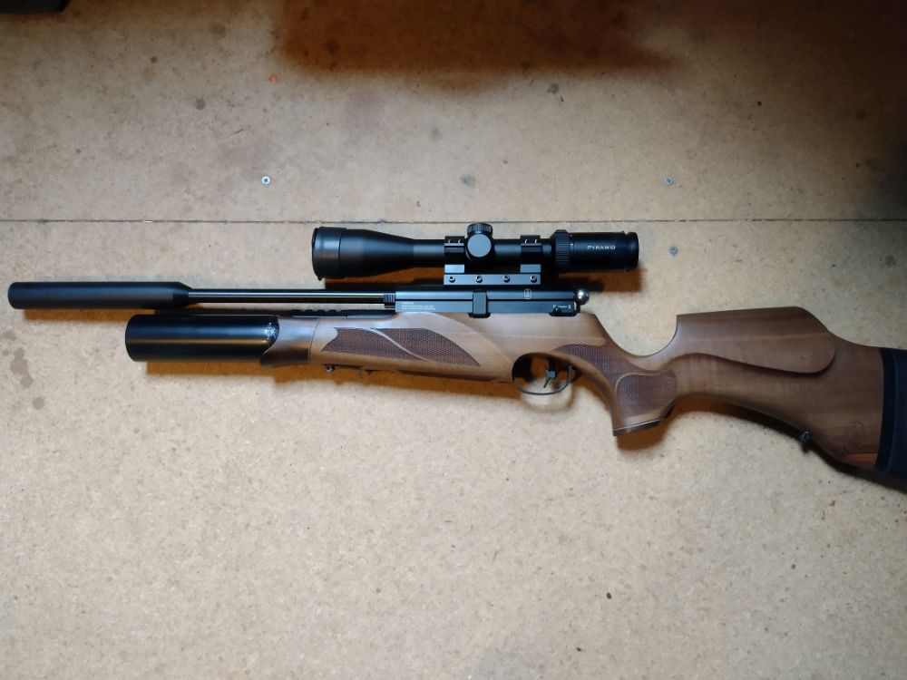 BSA R10 Carbine .22