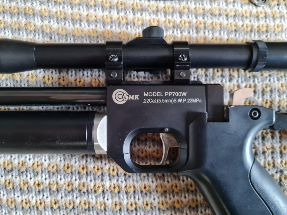 SMK PP700 .22 with pump