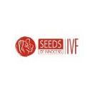 seeds of innocens