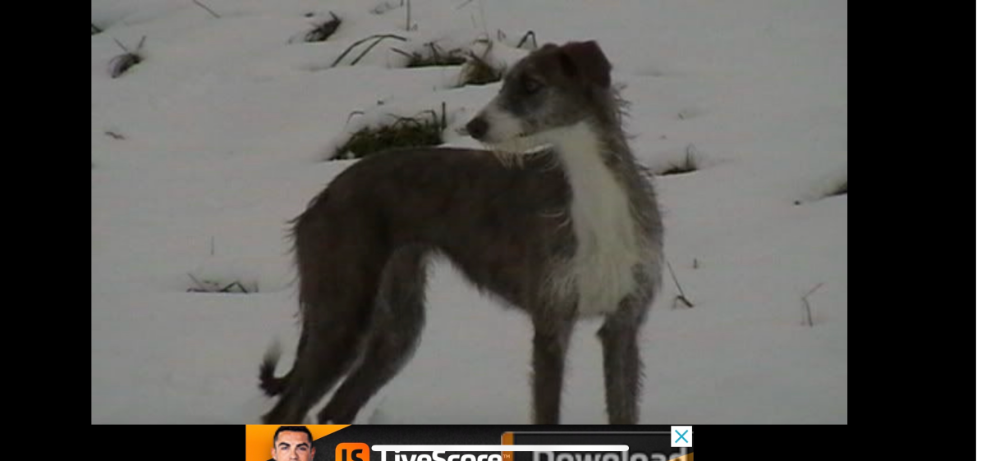 IMG_8039.png.13b5559e13f98ba7d294876d445d7e9c.png