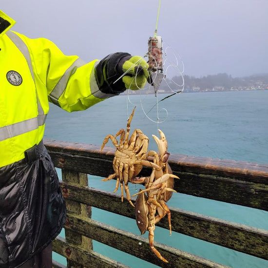 Crab_Snare_4.jpg.a4eeb1312d938c1ff93f5c8e05b7a03d.jpg