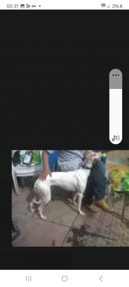 Screenshot_20250729_003114_Chrome.jpg.4b18bffc85c75a491f5659c1e980d7b6.jpg