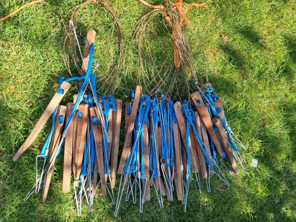 Fourteen Acre Rabbit Snares