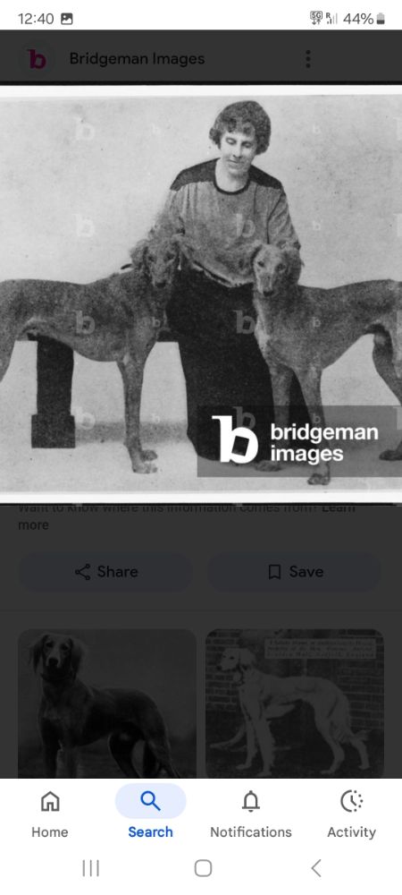Screenshot_20250818_124016_Google.jpg.c089a80c8aa36bc2690e977224be595a.jpg