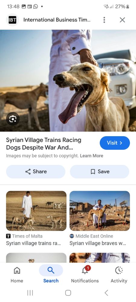 Screenshot_20250829_134823_Google.jpg.f499e6ab18a438aa969615ffeabad244.jpg