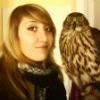 Goshawk