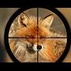 HUnter_zero