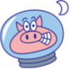 moon pig