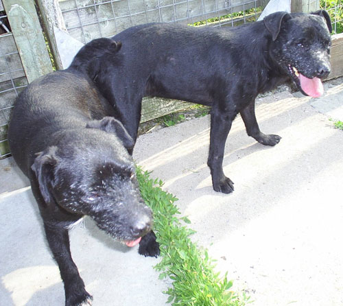 Sid & Maggy