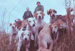 A Day Out With The Deerness