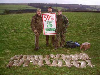 Ferreted Rabbits.