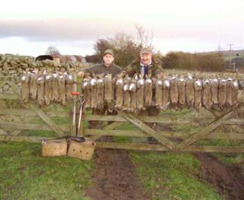 Ferreting provides efficient vermin control.