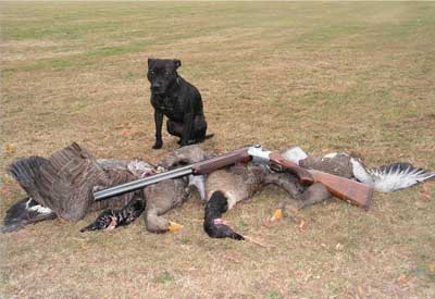Goose Shooting.
