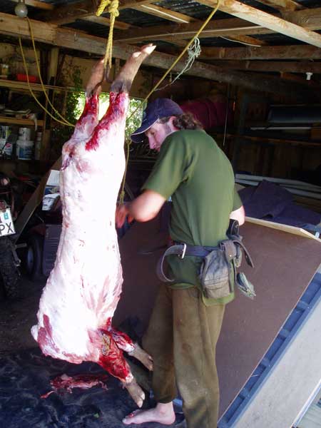 Butchering The Pig