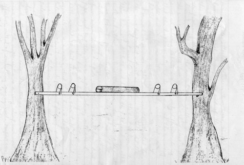 Running Pole, With Snares