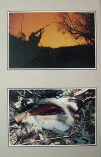 Advanced Airgun Hunting Back