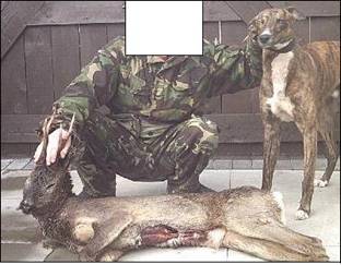 Dog with Roe