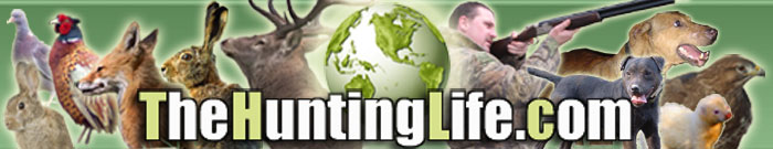 Hunting Field Sports Around The World.