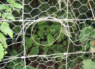 Professional Rabbit Snaring For Amateurs Part 1 Rabbit Fence Snare