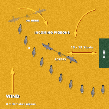 Pigeon Decoy Pattern 2