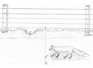 One Way Slide System – Fox Snaring Fox snaring slider snare.