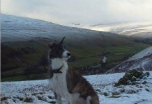 One of Life’s Constants