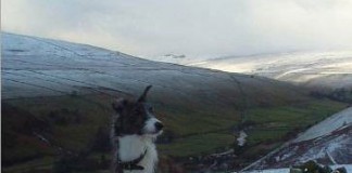 One of Life’s Constants