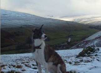 One of Life’s Constants